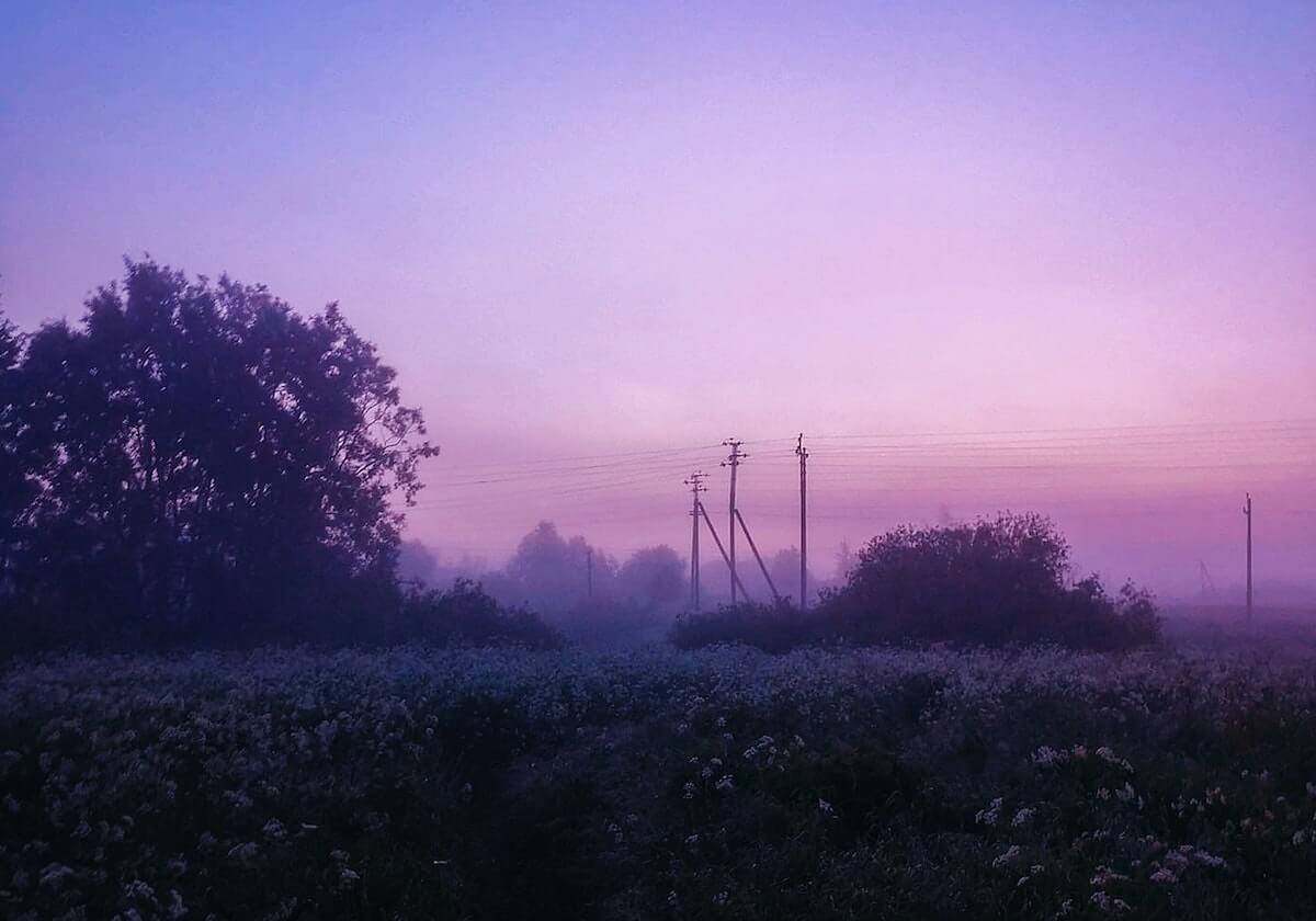 场间采访TheShy：希望大家一起加油一起努力，希望今年能有一个好结果